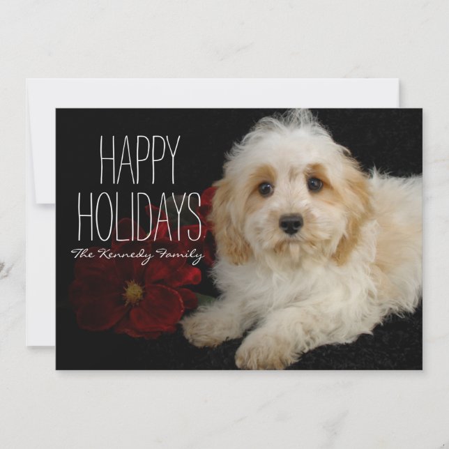 Chrirstmas Cavachon Welpe Feiertagskarte (Vorderseite)