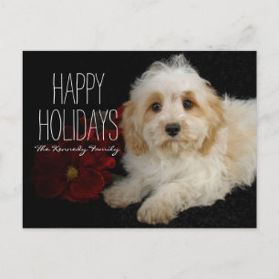 Chrirstmas Cavachon Welpe Feiertagspostkarte
