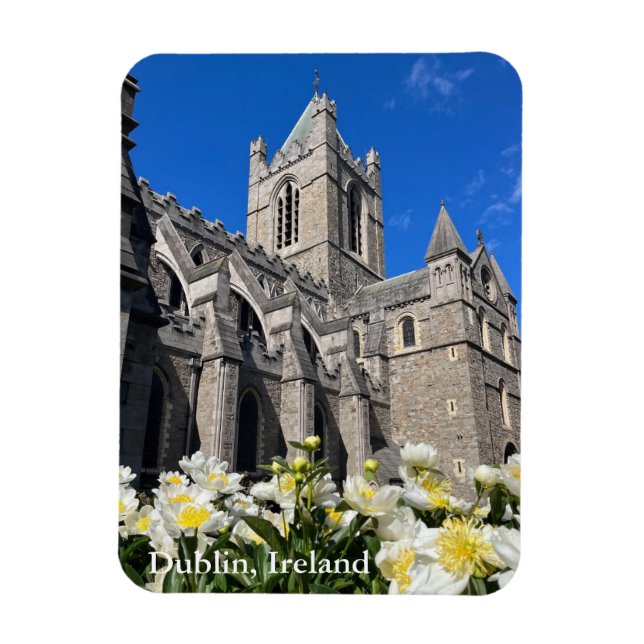 Christ Church in Dublin, Irland Magnet (Vertikal)