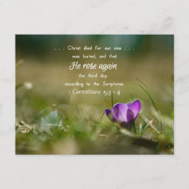 Christ Rose de nouveau Crocus carte postale
