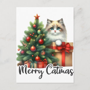 Christbaum Und Katze 2025  Postkarte