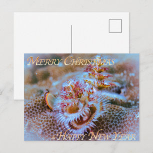 Christbaumwurm postkarte