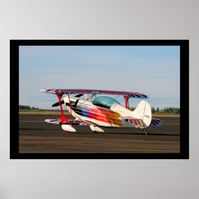 Christen Eagle II Poster (Vorne)