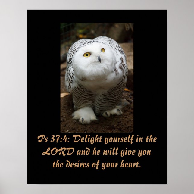 Christentum-Schrift Ps 37:4 Poster (Vorne)