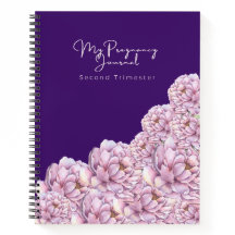 Christian Pregnancy Journal | Second Trimester