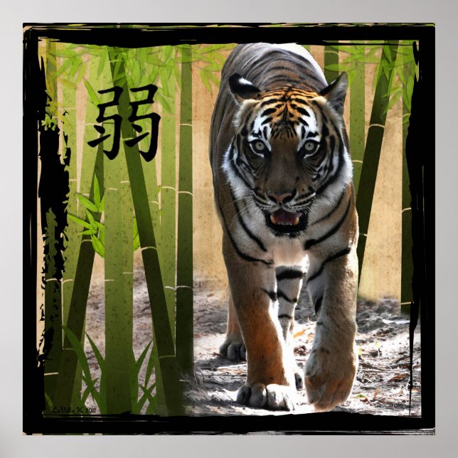 Christin Poster (Vorne)