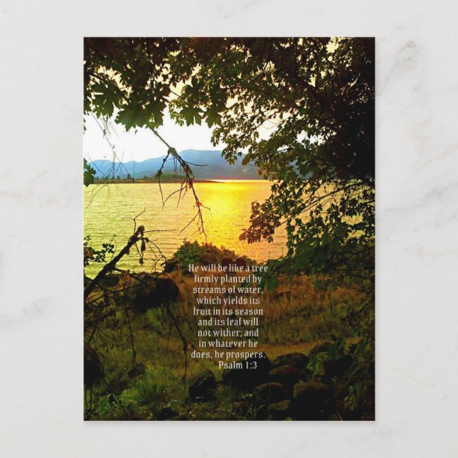 Christliche Bibel Verse Seenlandschaft Kreationari Postkarte (Vorderseite)