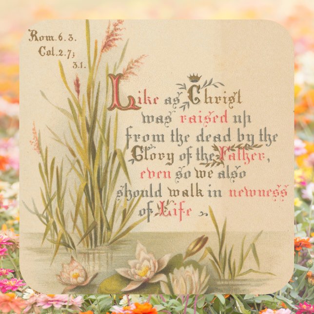 Christliche katholische Bibelkirche ist Ostern Quadratischer Aufkleber (Religious Christian Catholic Bible Verse Resurrection Jesus Christ is Risen Easter Square Sticker)