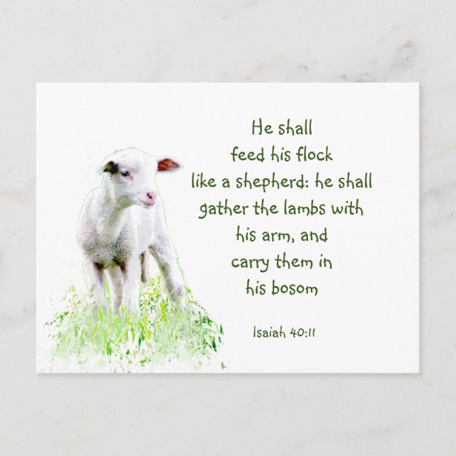 Christliche Weihnachtsschrift Inspiration Verse Postkarte (Vorderseite)