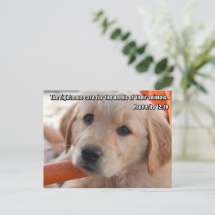 Christliche Welpen-Postkarte Postkarte