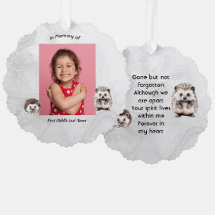 Christliches Andenken Igel Kinder Ornament Karte
