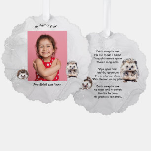 Christliches Andenken Igel Kinder Ornament Karte