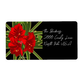 Christmas Amaryllis Garden Vibrant 