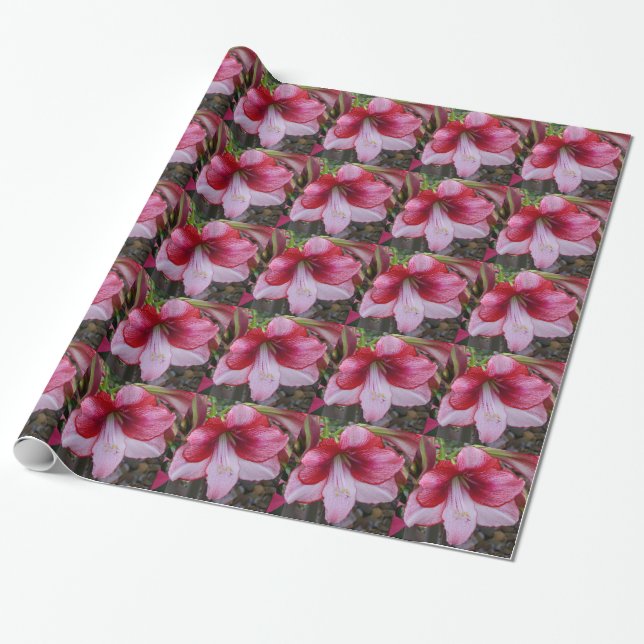Christmas Amaryllis Red Holiday Floral Geschenkpapier (Ungerollt)