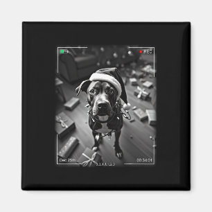 Christmas American Staffordshire Terrier Cauon Magnet