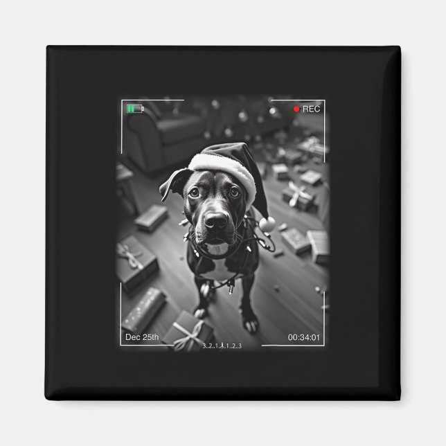 Christmas American Staffordshire Terrier Cauon Magnet (Vorne)