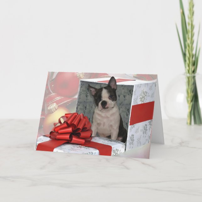 Christmas Boston Terrier Grußkarte Feiertagskarte (Vorderseite)