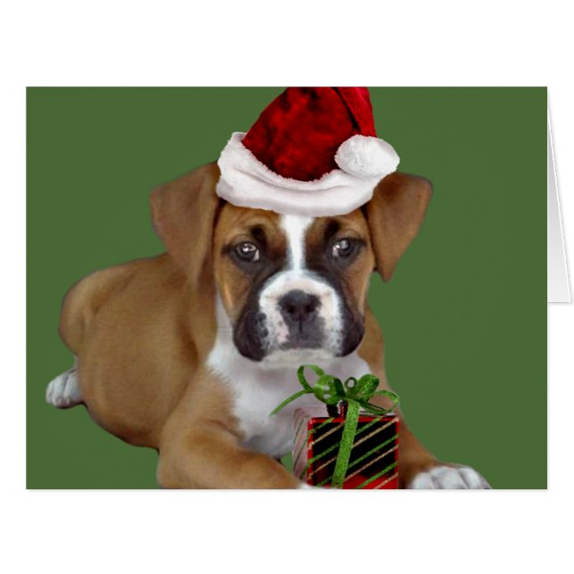 Christmas Boxer Welpe (Vorderseite (Horizontal))