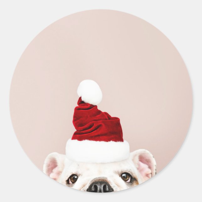 CHRISTMAS BULLDOG STICKER (Vorderseite)