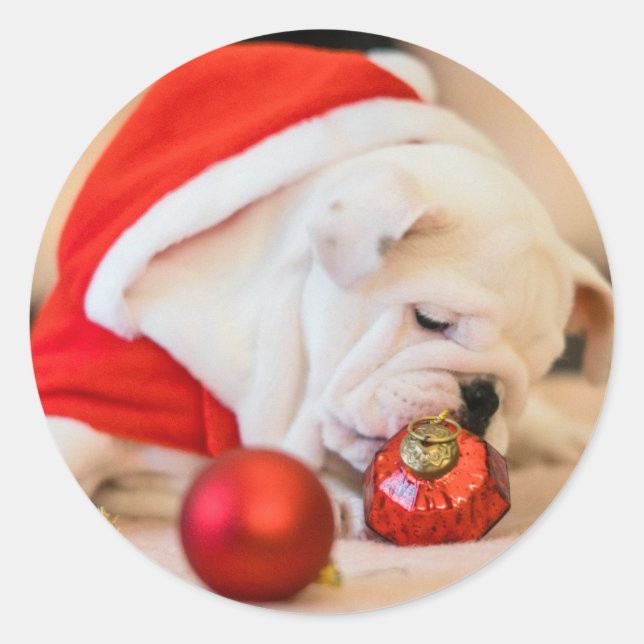 CHRISTMAS BULLDOG STICKERS (Vorderseite)