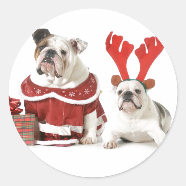 CHRISTMAS BULLDOGS STICKERS (Vorderseite)