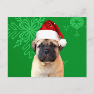 Christmas Bullmastiff Welpe Feiertagspostkarte