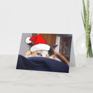 Christmas Calico Cat Feiertagskarte