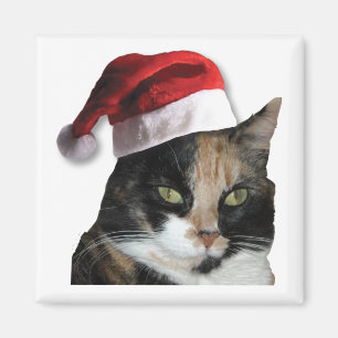 Christmas Calico Cat Magnet