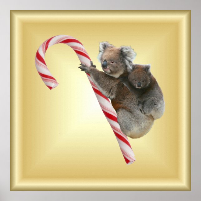 Christmas Candy Cane Koalas Poster (Vorne)