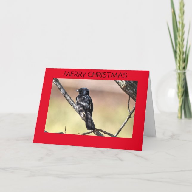 CHRISTMAS CARD WILLIE WAGTAIL AUSTRALIEN FEIERTAGSKARTE (Vorderseite)