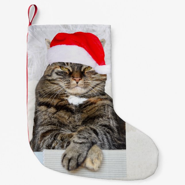 Christmas Cat Humbug Foto Kleiner Weihnachtsstrumpf (Vorderseite)