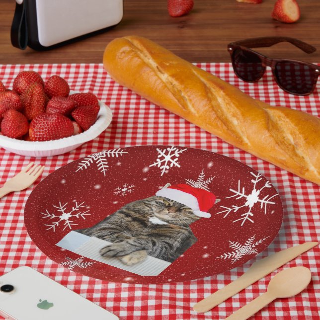 Christmas Cat Humbug Foto mit Weihnachtsmannmütze Pappteller (Picknick)