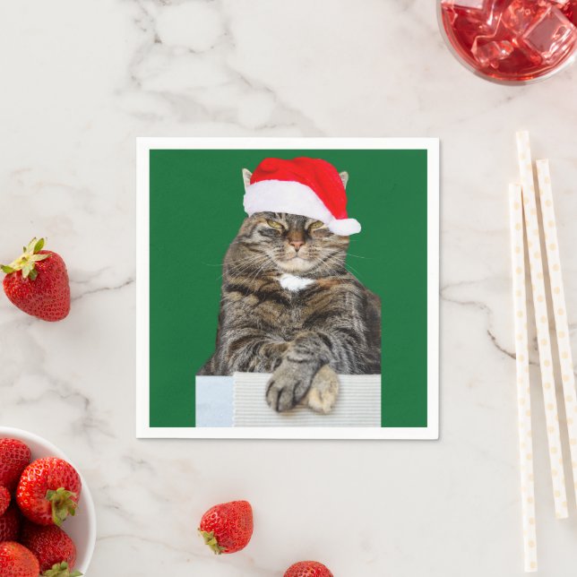 Christmas Cat Humbug Foto mit Weihnachtsmannmütze Serviette (Beispiel)