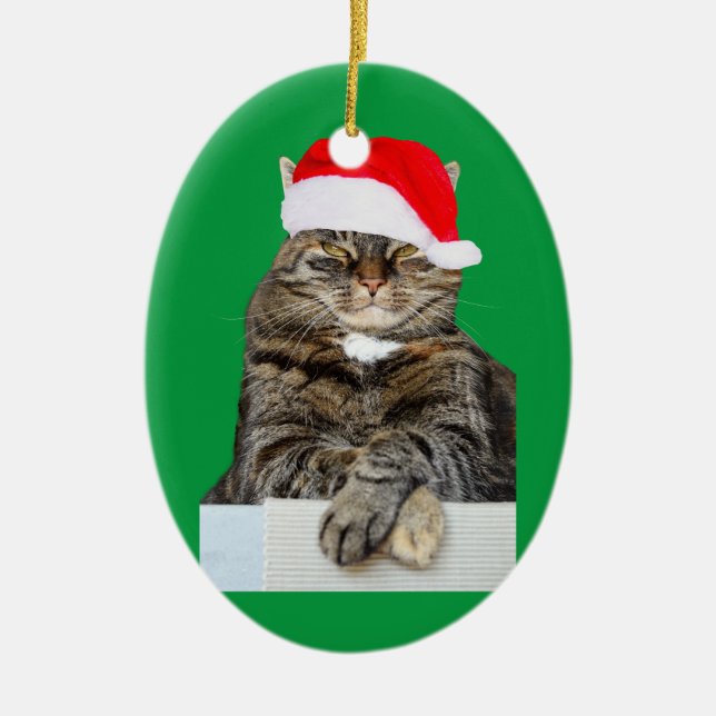 Christmas Cat Humbug Foto von oval Ornament (Vorne)