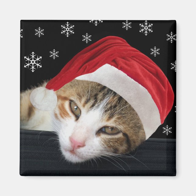 Christmas Cat Magnet (Vorne)
