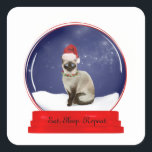 Christmas Cat Snow Globe Quadratischer Aufkleber<br><div class="desc">Diese Schneeglobe hat eine siamesische Katze, die in einer Weihnachtsmannmütze mit einer Garage aus Heiligen und Beeren gekleidet ist. Sie können die Nachricht auf der Vorderseite der Vorlage, die ich bereitgestellt habe, ändern. Wenn Ihnen gefällt, was Sie sehen, aber nicht sehen, was Sie gewollt haben, kann ich meine Designs bearbeiten,...</div>