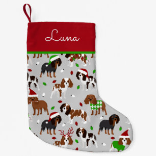 Christmas Cavalier King Charles Spaniel Kleiner Weihnachtsstrumpf
