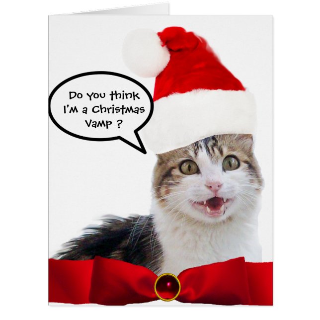 CHRISTMAS CHAT AVEC CASQUETTE SANTA CLAUS ET RIBBO (Devant)