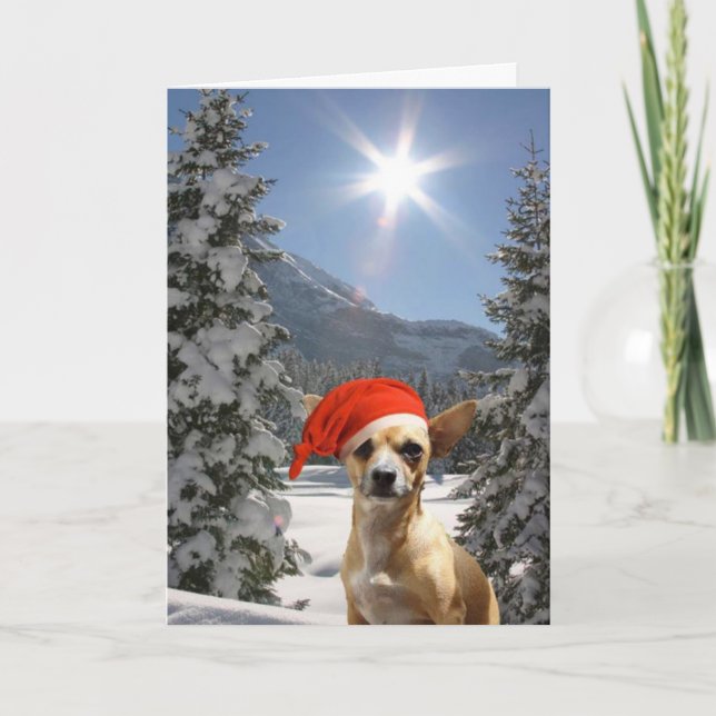 Christmas Chihuahua Feiertagskarte (Vorderseite)