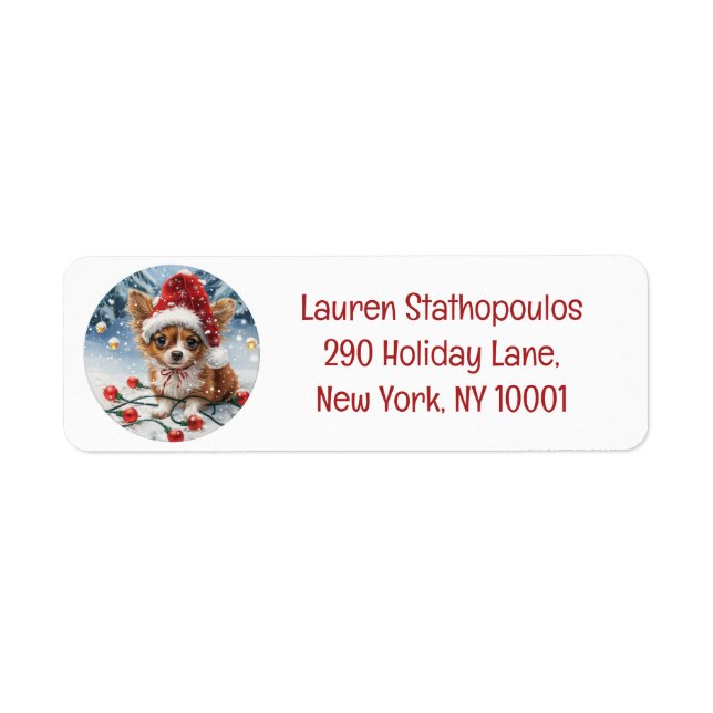 Christmas Chihuahua Santa Dog (Vorne)