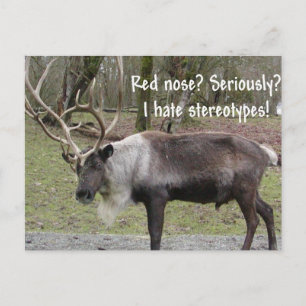 CHRISTMAS DESIGNS FEIERTAGSPOSTKARTE
