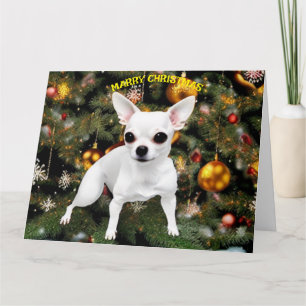 Christmas Dog Chihuahua Karte