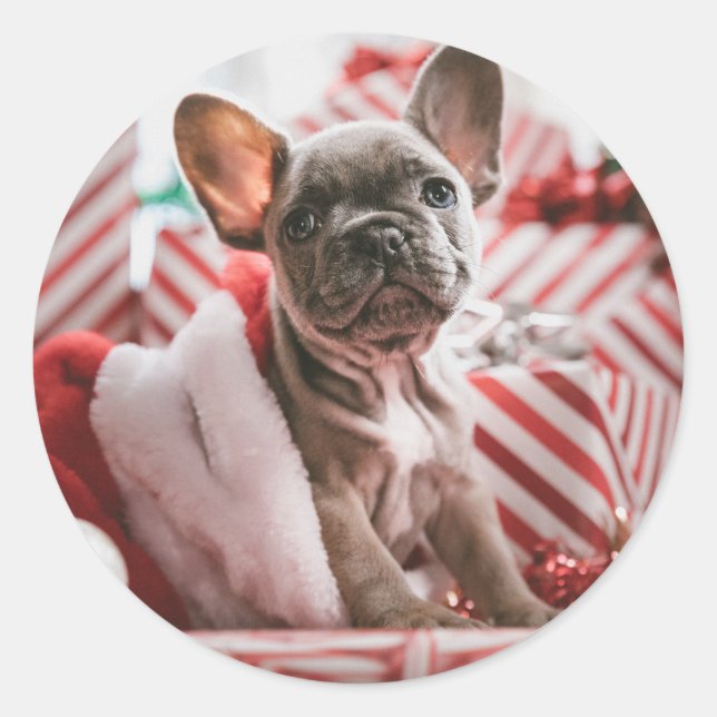 Christmas French Bull Dog - Frankreich Runder Aufkleber (Vorderseite)
