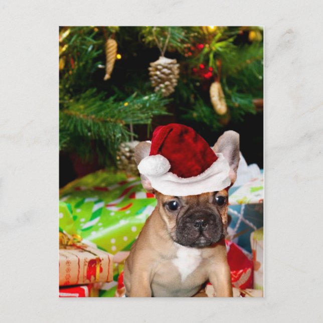 Christmas French Bulldog Feiertagspostkarte (Vorderseite)