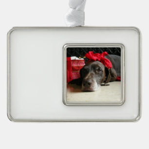 Christmas german shorthaired pointer Rahmen-Ornament silber