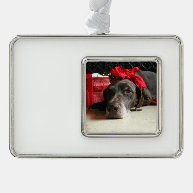 Christmas german shorthaired pointer Rahmen-Ornament silber (Vorderseite)