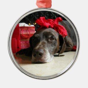 Christmas german shorthaired pointer silbernes ornament