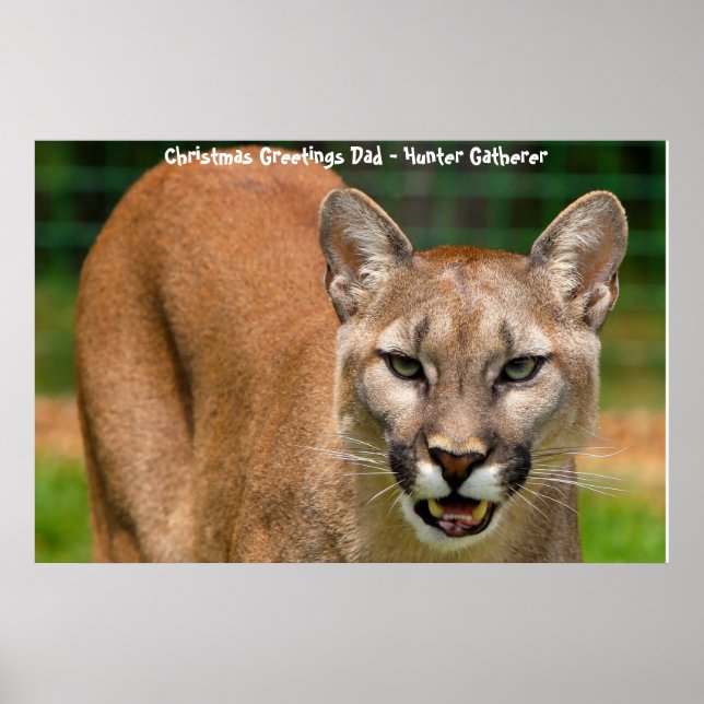 Christmas Greetings Dad Hunter Gatherer Poster (Vorne)