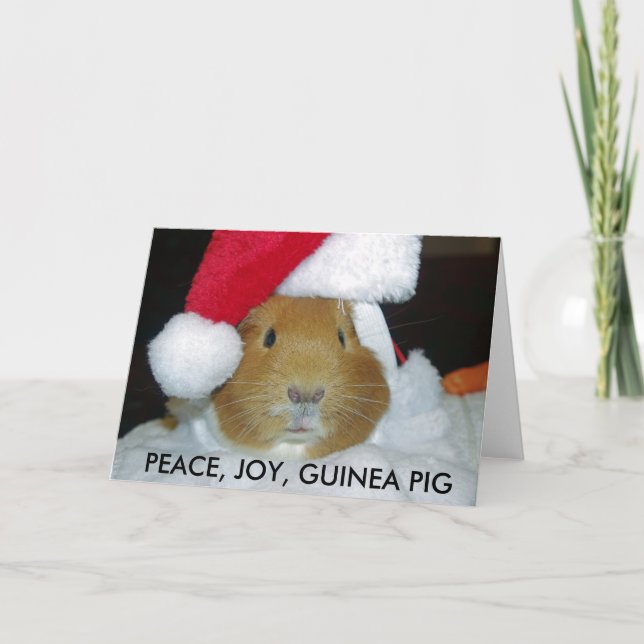 CHRISTMAS GUINEA SCHWEINKARTE FEIERTAGSKARTE (Vorderseite)