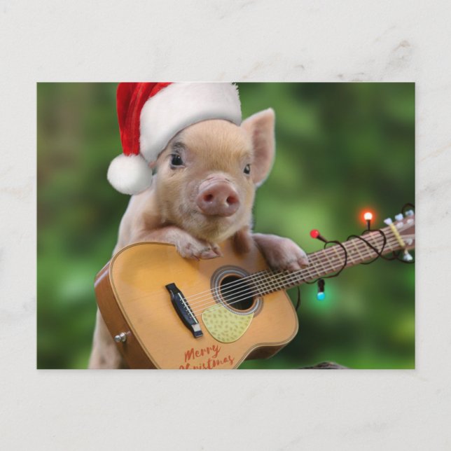 Christmas guitar pig postkarte (Vorderseite)